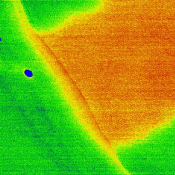 Biomolecules, HD-KFM mode, 1µm