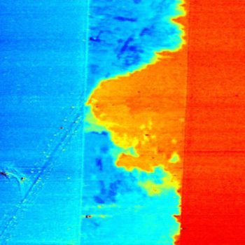 2 Nanotubes network deposited between 2 electrodes, EFM mode, 65µm