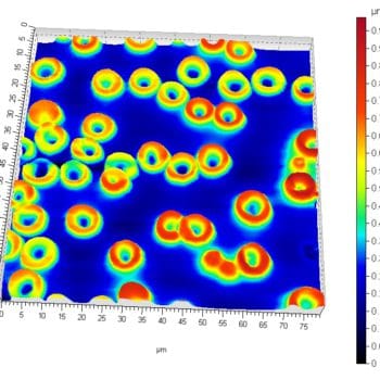 Blood, oscillating mode 80µm