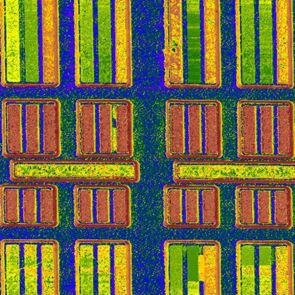 sRAM, ResiScope mode, 50µm