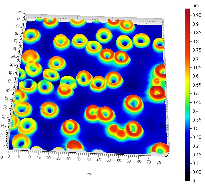 Blood, oscillating mode 80µm