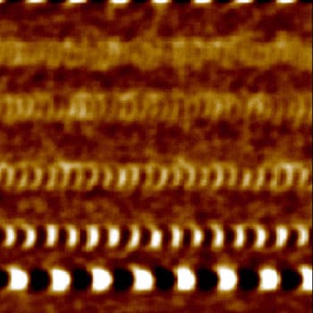 Hard-disk, MFM mode, 2.2µm