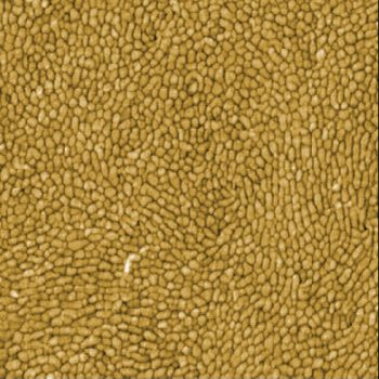 Sapphire AIN-GaN, oscillating mode, 2µm