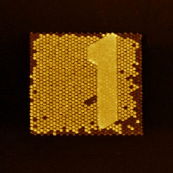 Litho, oscillating mode, 40µm