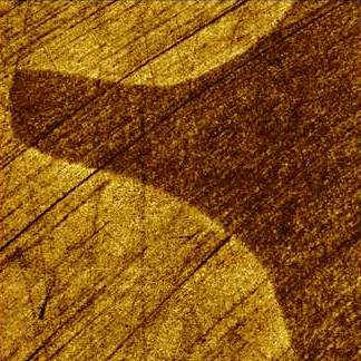 Local Oxidation Nanolithography, ResiScope mode, 5µm