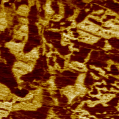 PZT, PFM mode, 10µm