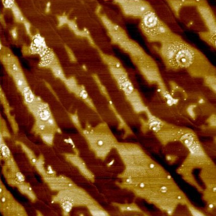 Graphene, EFM mode, 10µm