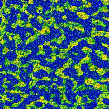 P3HT, Soft ResiScope mode, 5µm