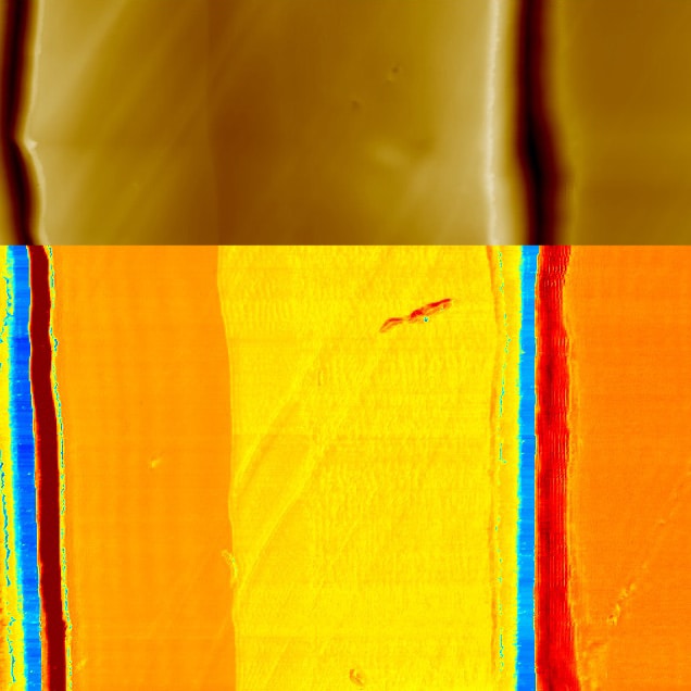 PS PMMA, topography (top) & adhesion (bottom), 50µm, soft IC mode