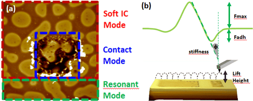 Principle Soft IC