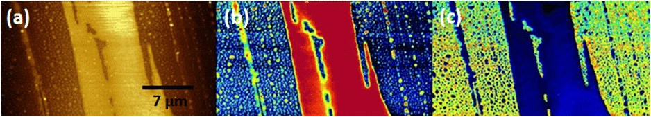 Soft IC on PDES sample.(a) topography, (b) stiffness and (c) adhesion.