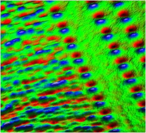 Perpendicular magnetization bit hard drive scan size 5µm x 5µm MFM mode