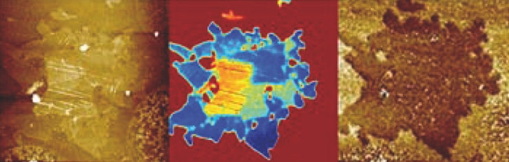 Graphene on Si – HD-KFM mode – Potential signal – 8µm