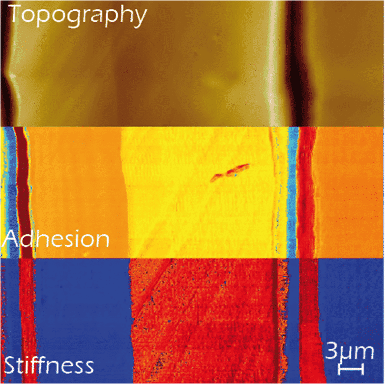 soft-meka-AFM