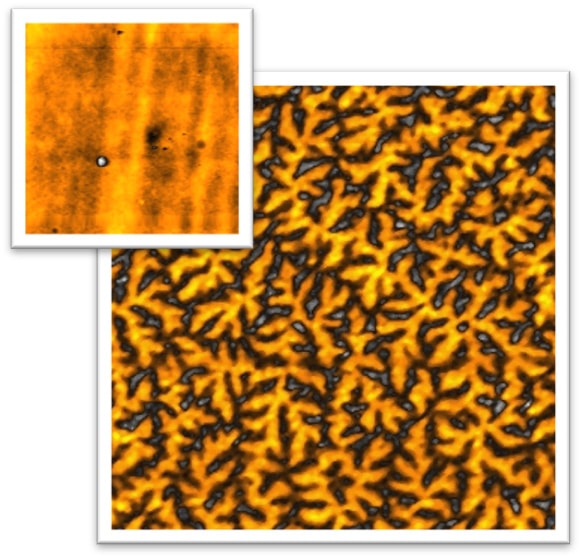 Topography & MFM signals, cobalt alloy coating,30µm scan